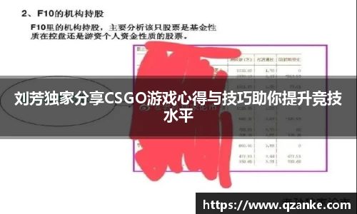 yy易游