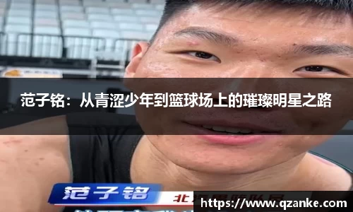 yy易游